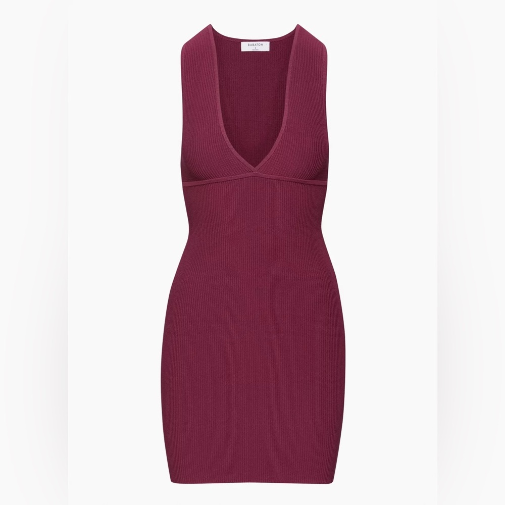 NWT Aritzia Deep V Dress